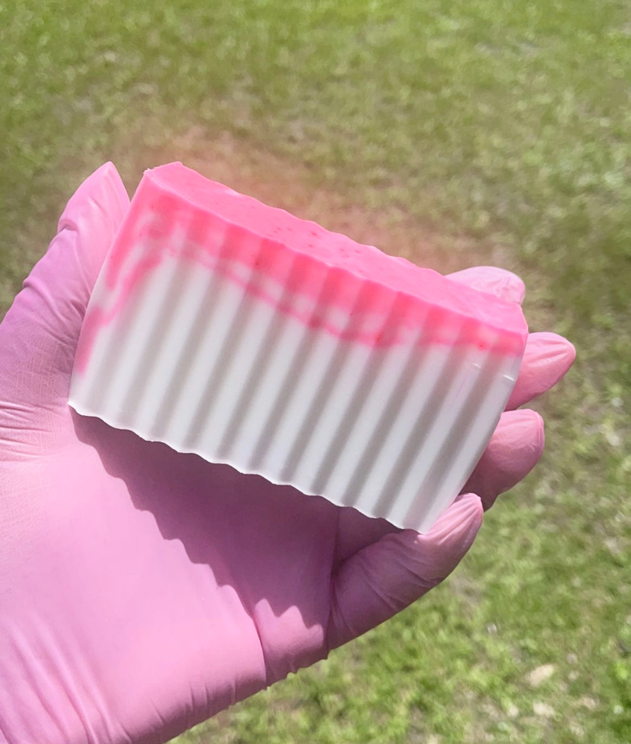 Mango 🥭 and Hibiscus 🌺 Bar